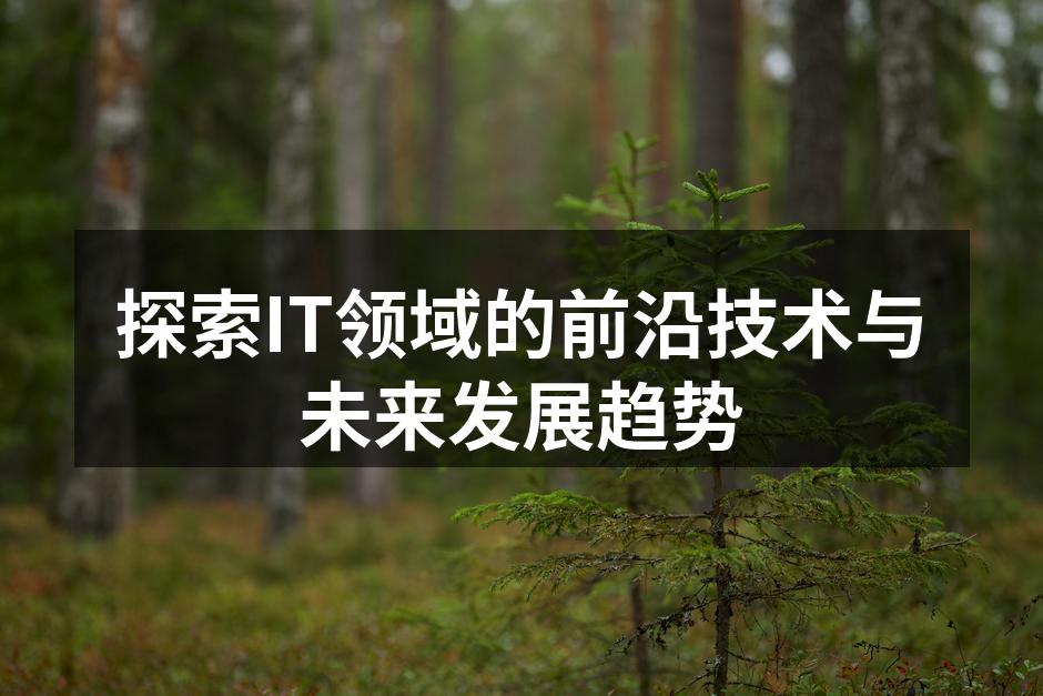 深入探讨IT行业的前沿技术