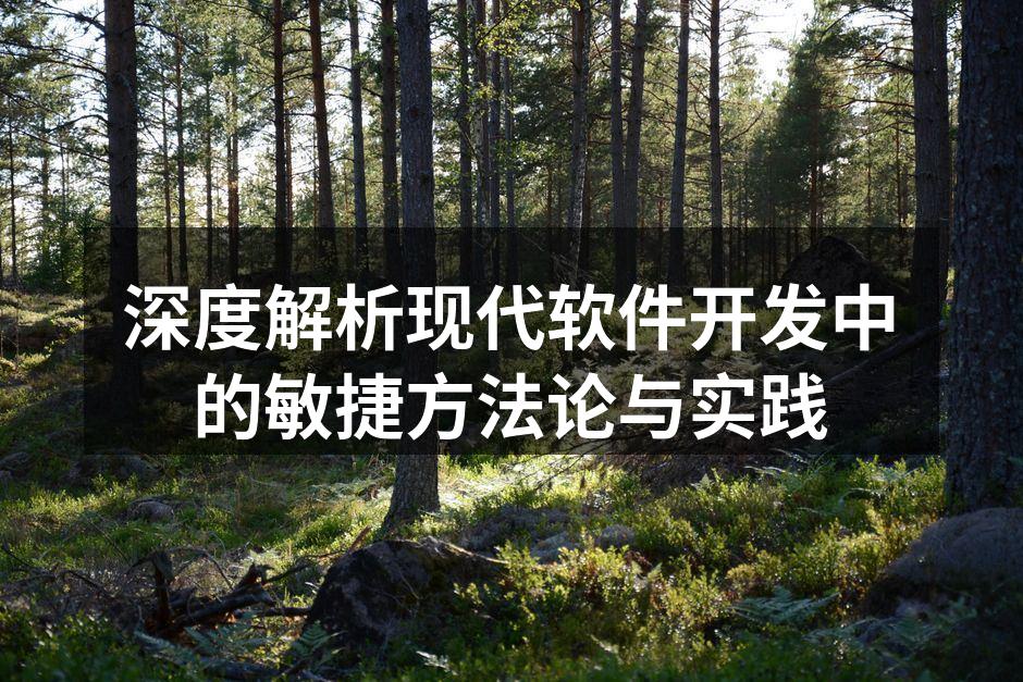 敏捷开发流程示意图