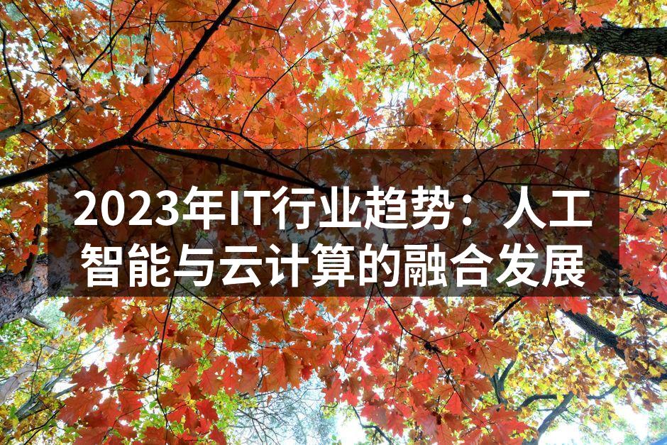 2023年IT行业趋势:人工智能与云计算的融合发展