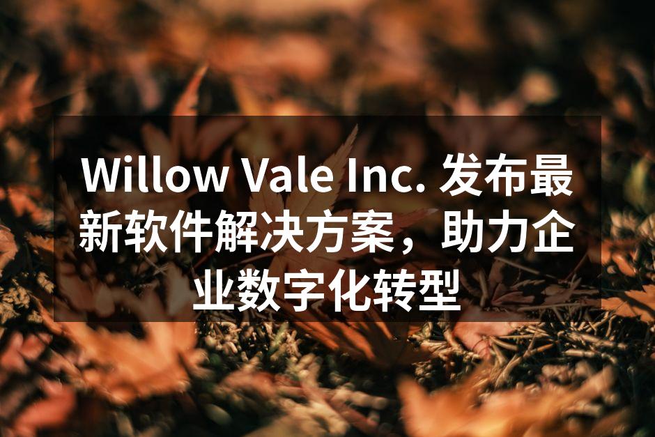 Willow Vale Inc. 发布最新软件解决方案,助力企业数字化转型