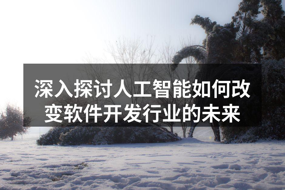 人工智能技术在软件开发中的应用示意图
