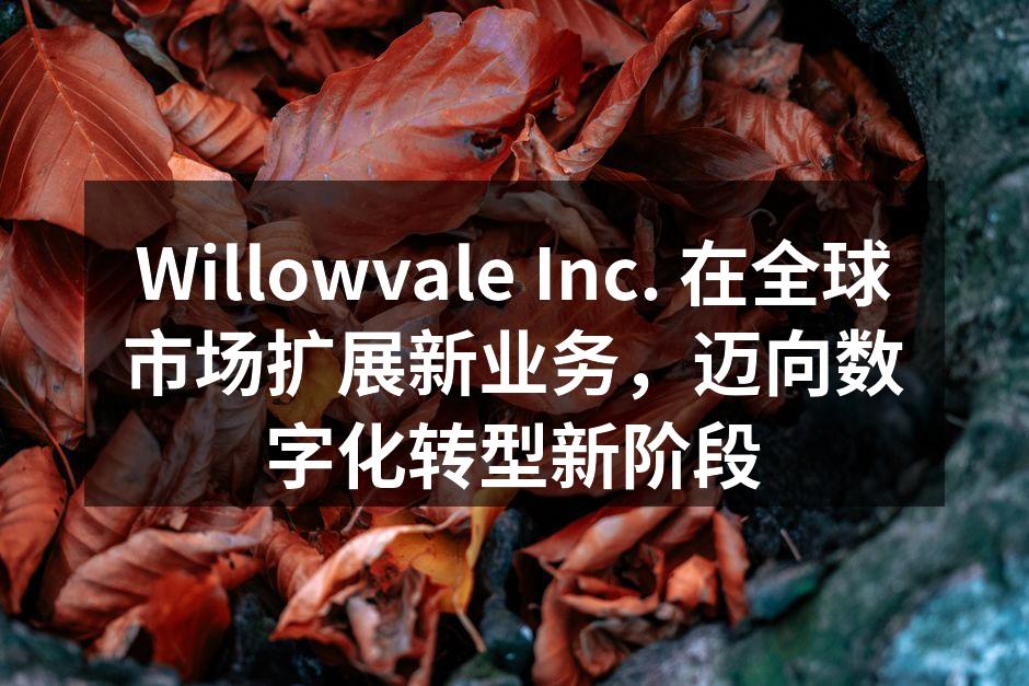 Willowvale Inc. 在全球市