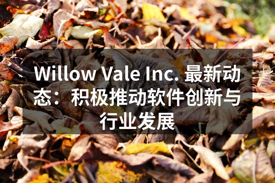 Willow Vale Inc. 新产品发布会现场